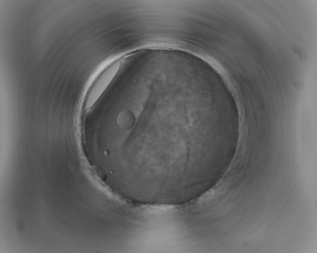 X0000112910864200909141250