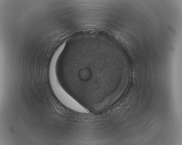 X0000112910868200909141249