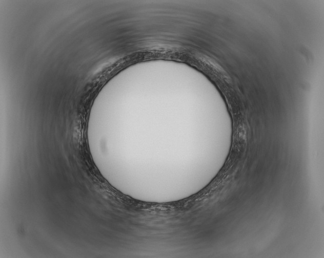 X0000112910869200909141249