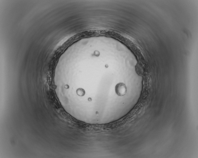 X0000112910871200909141249