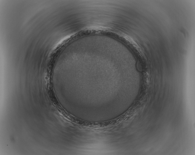 X0000112910872200909141249