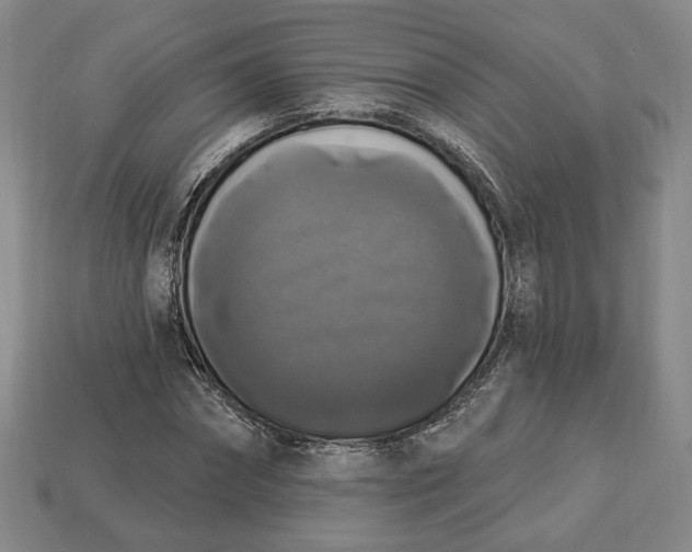 X0000112910874200909141249