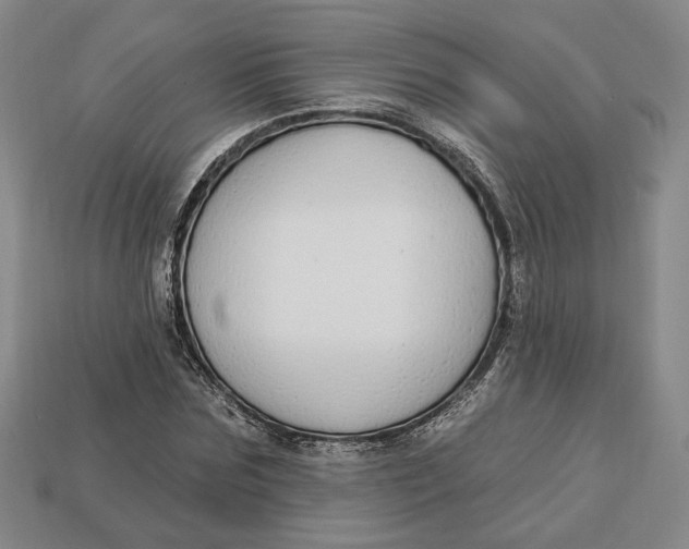 X0000112910875200909141249