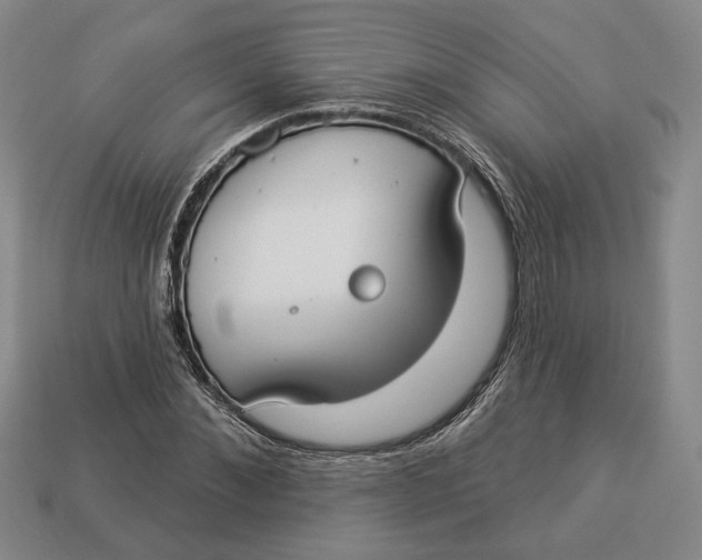 X0000112910876200909141249