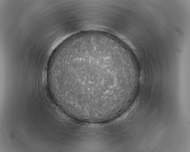 X0000112910877200909141249