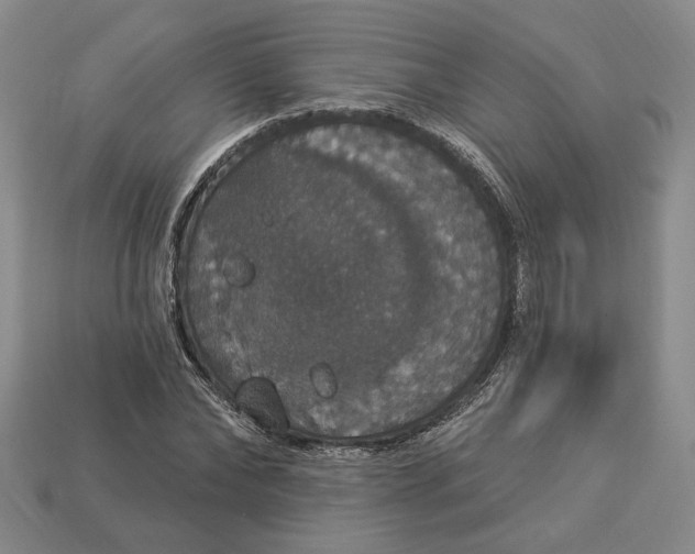 X0000112910878200909141249