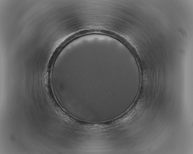 X0000112910879200909141249