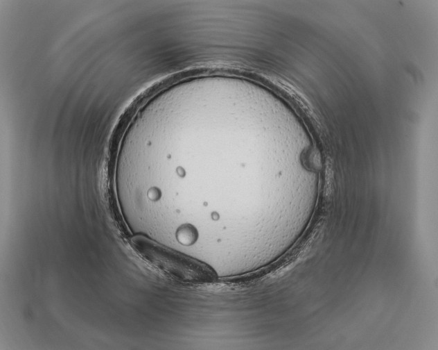 X0000112910880200909141249