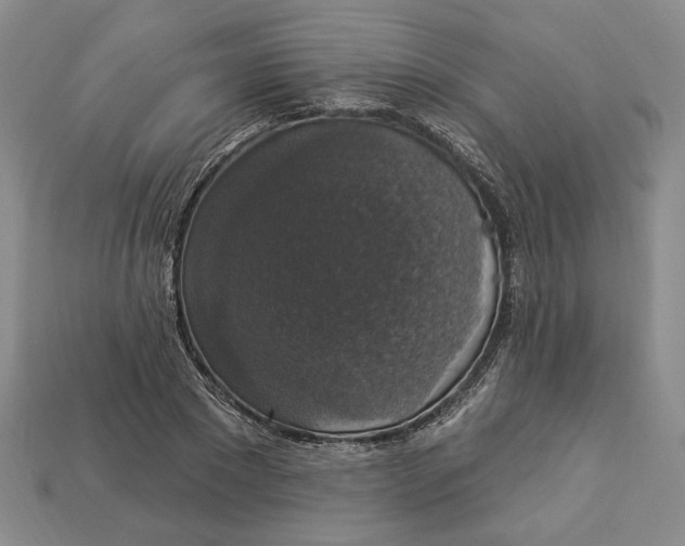 X0000112910881200909141249