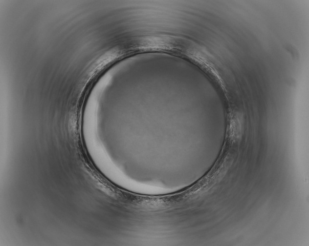 X0000112910882200909141249