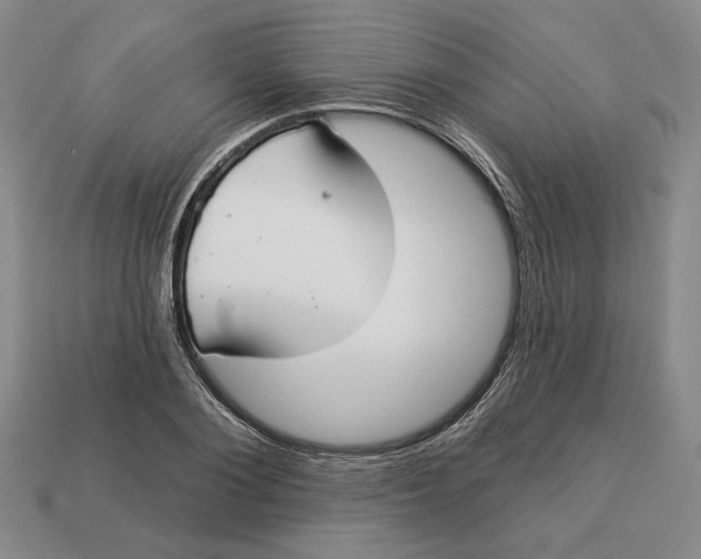 X0000112910884200909141249