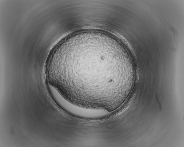 X0000112910885200909141249