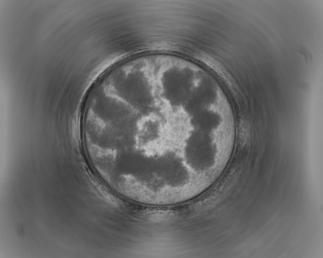 X0000112910886200909141249