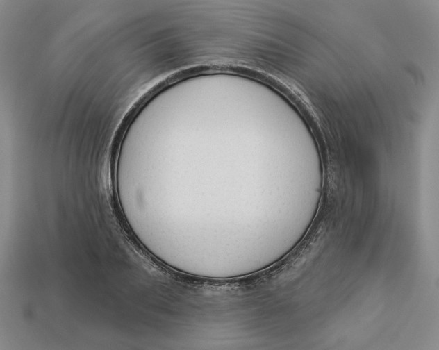 X0000112910887200909141249