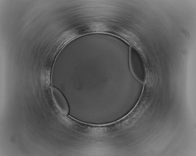 X0000112910889200909141249