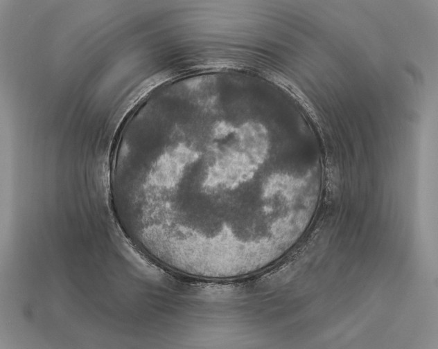 X0000112910890200909141249