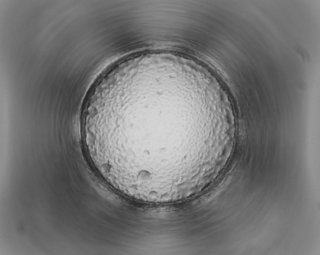 X0000112910891200909141249