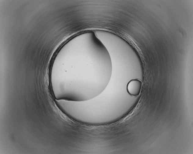 X0000112910892200909141249