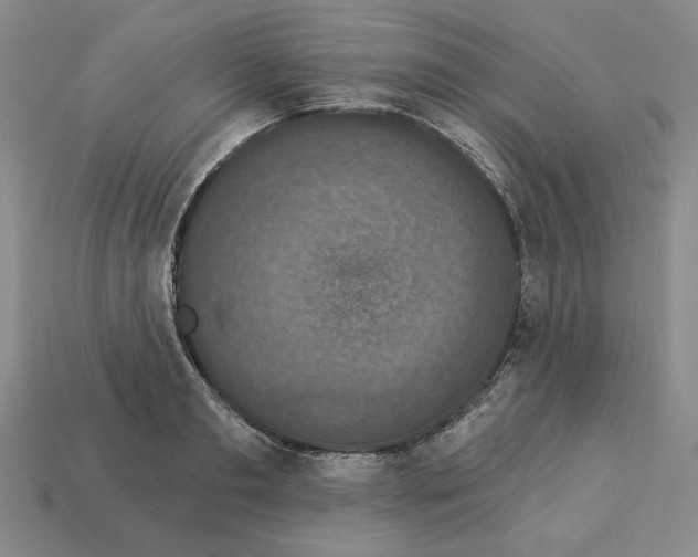 X0000112910893200909141249