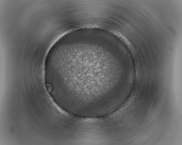 X0000112910894200909141249