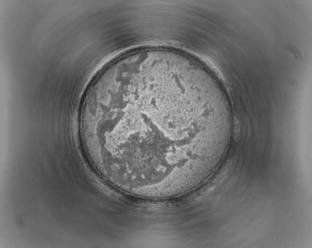 X0000112910895200909141249