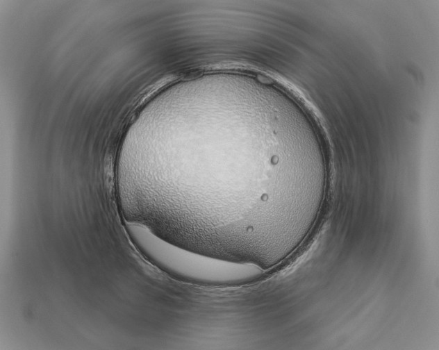 X0000112910897200909141249