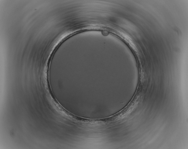 X0000112910899200909141249