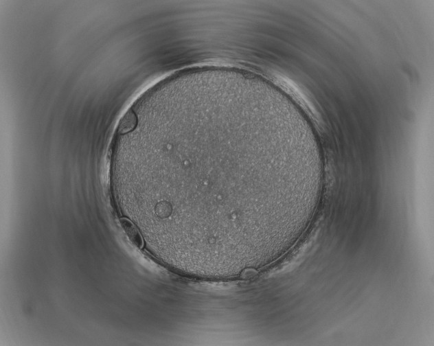 X0000112910900200909141249