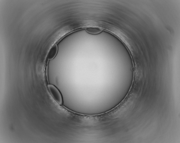 X0000112910901200909141249