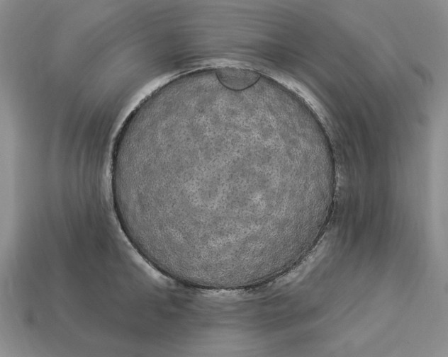 X0000112910902200909141248