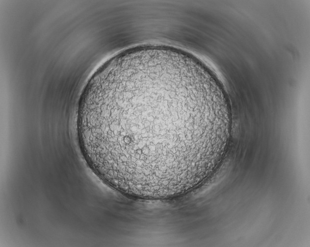 X0000112910903200909141248