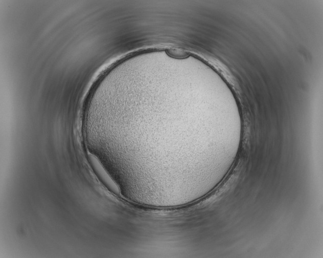 X0000112910904200909141248