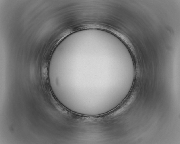 X0000112910905200909141248