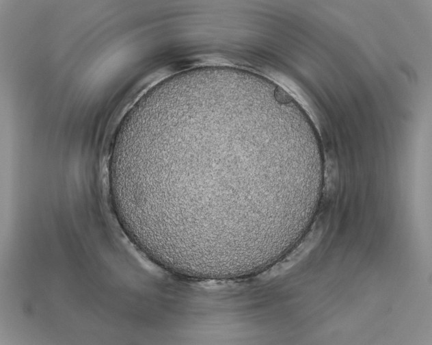 X0000112910906200909141248