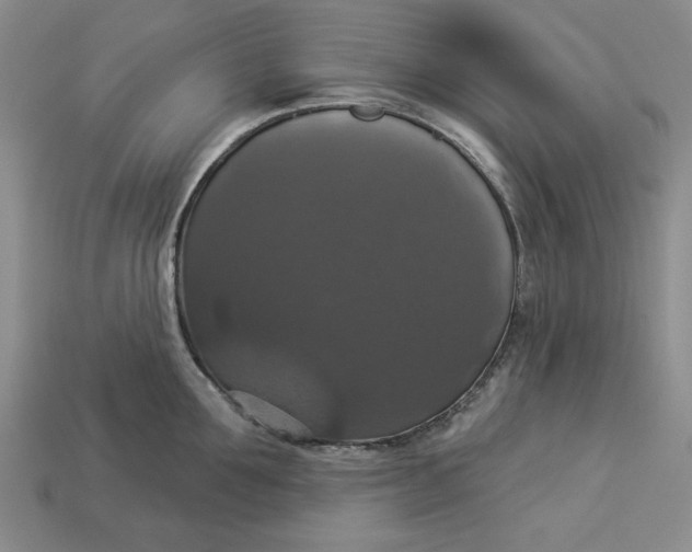 X0000112910907200909141248