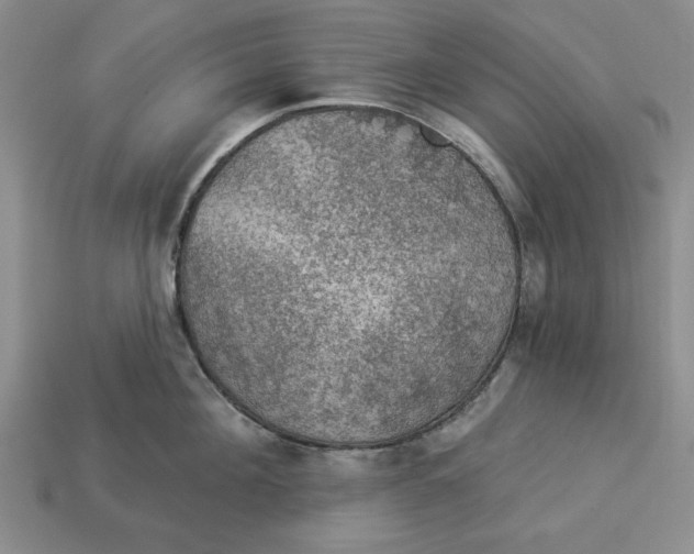 X0000112910908200909141248