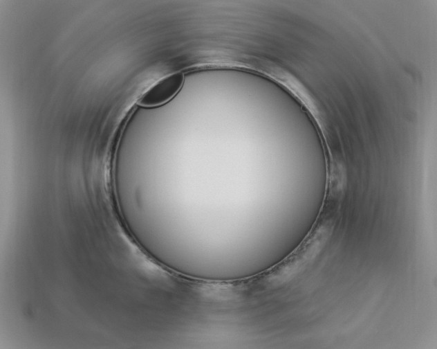 X0000112910909200909141248