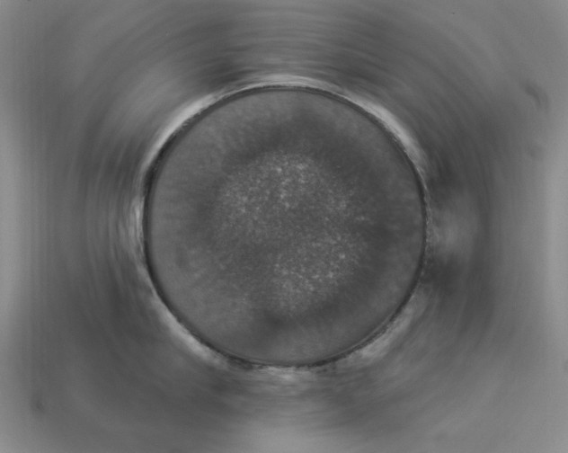 X0000112910910200909141248