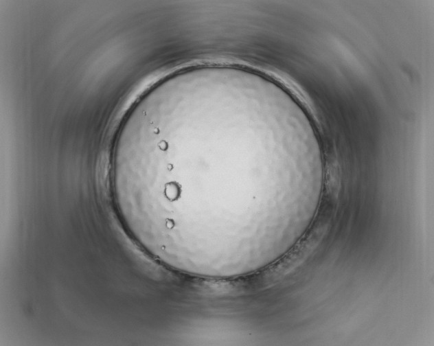 X0000112910911200909141248