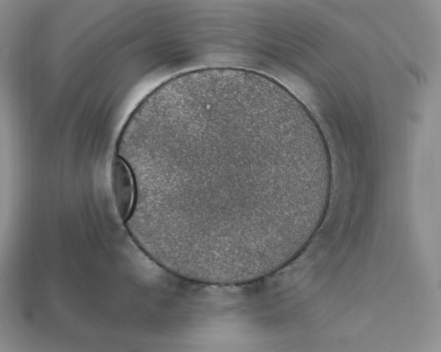 X0000112910912200909141248