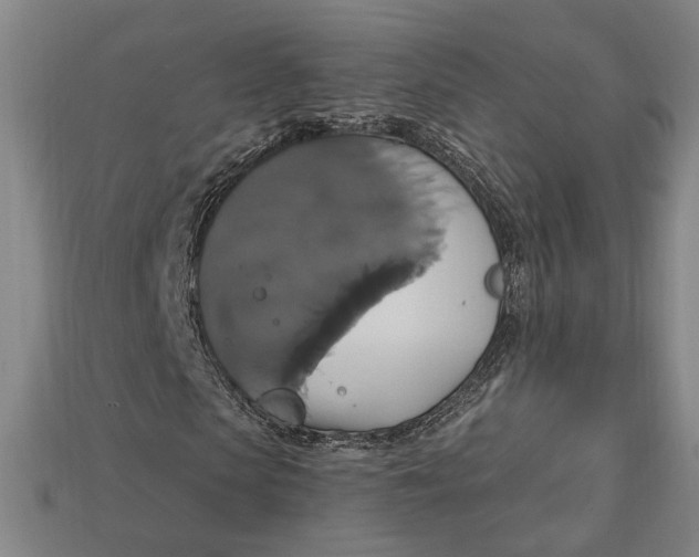 X0000112910913200909141248