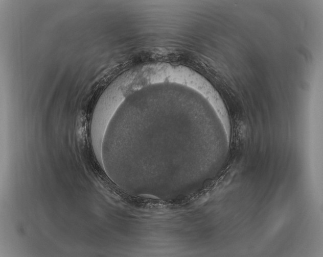 X0000112910914200909141248