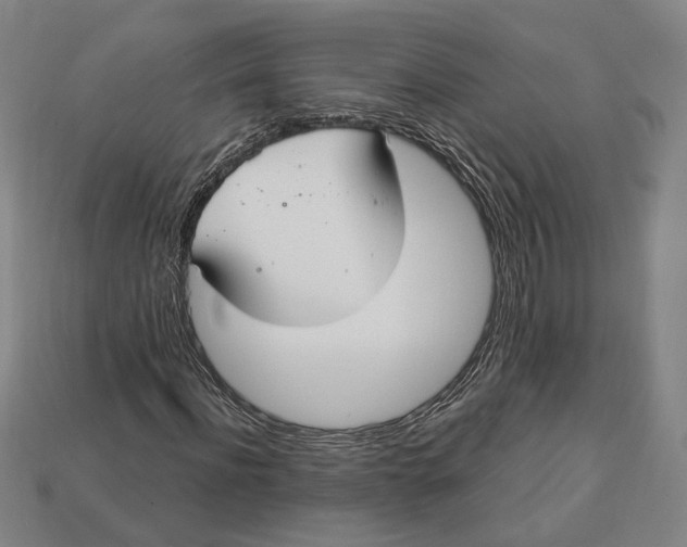 X0000112910916200909141248