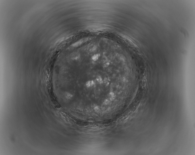 X0000112910917200909141248