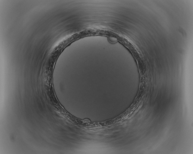 X0000112910919200909141248