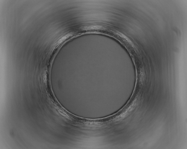 X0000112910921200909141248