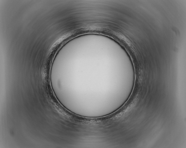 X0000112910922200909141248