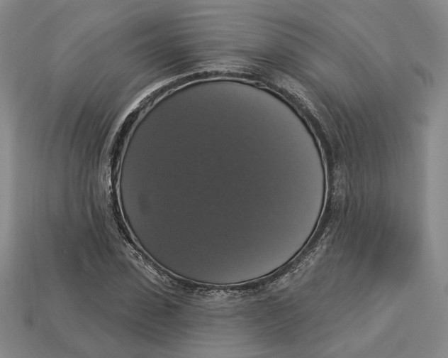 X0000112910923200909141248