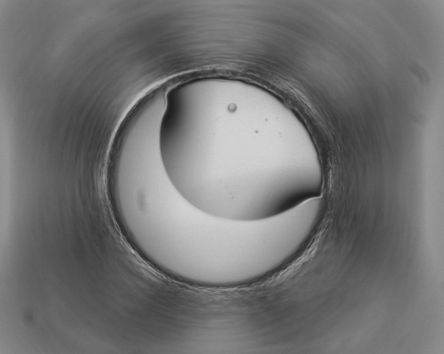 X0000112910924200909141248