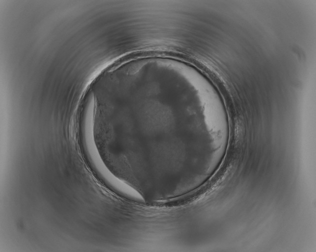 X0000112910925200909141248